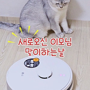 LG전자 코드제로 R5 흡입+물걸레 동시 로봇청소기 만세