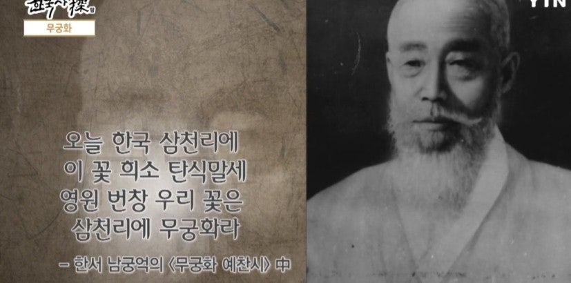 무궁화 사진 4