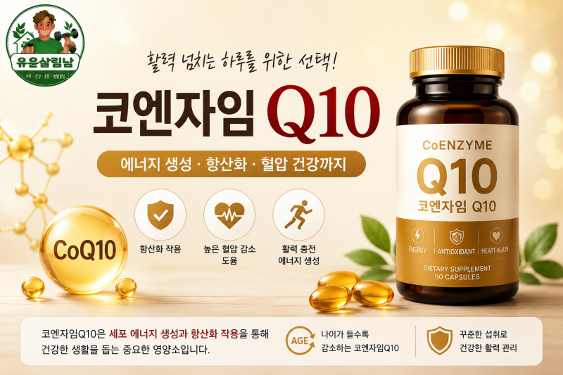 코엔자임Q10 효능 총정리! 활력이 떨어진다면? 먹는 시간까지