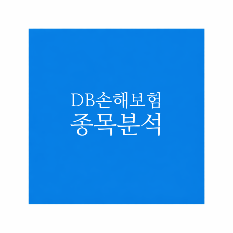 DB손해보험 종목분석