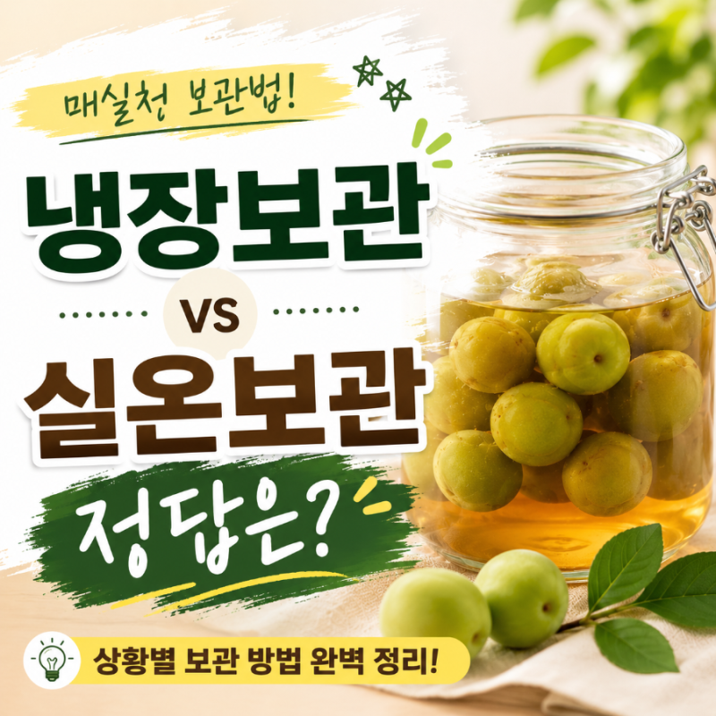"실온이야 냉장이야?" 매실청 보관, 헷갈리는 분들 이거 보세요