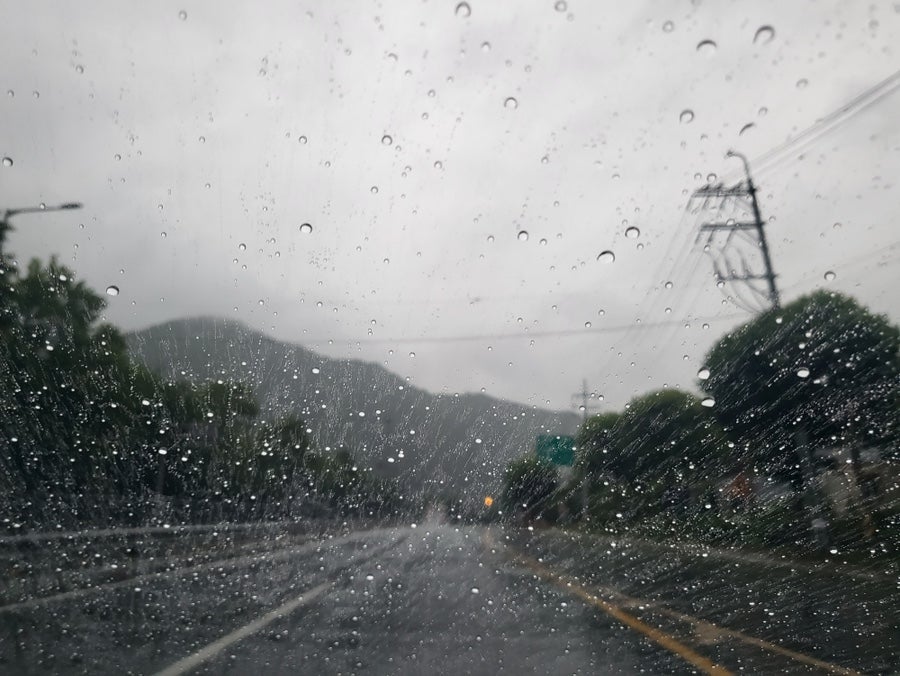 라토커피 제주 사진 1