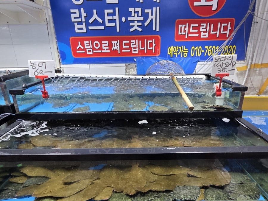다퍼줘 사진 4