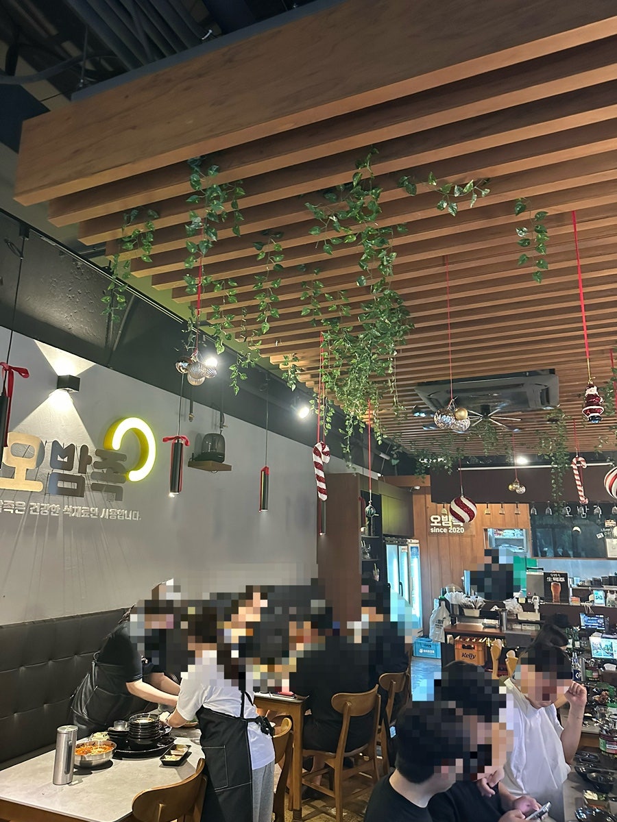 오밤족 사진 5