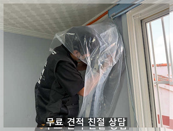 비오케이 사진 6