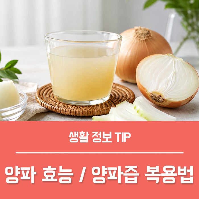 양파효능 4가지, 양파즙효능 복용법 부작용 총정리!