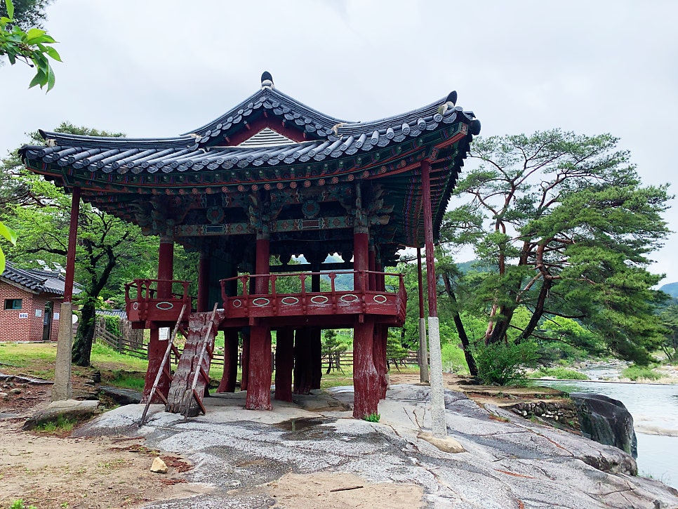 안의갈비탕 사진 3