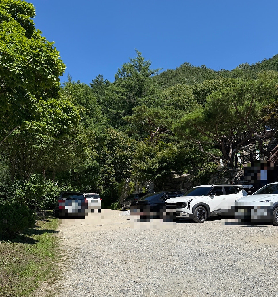 하고리 사진 4