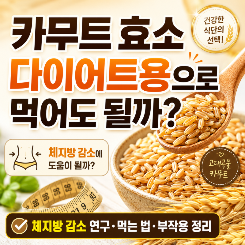 카무트 효소, 다이어트용으로 먹어도 될까? 체지방 감소 연구·먹는 법·부작용 정리