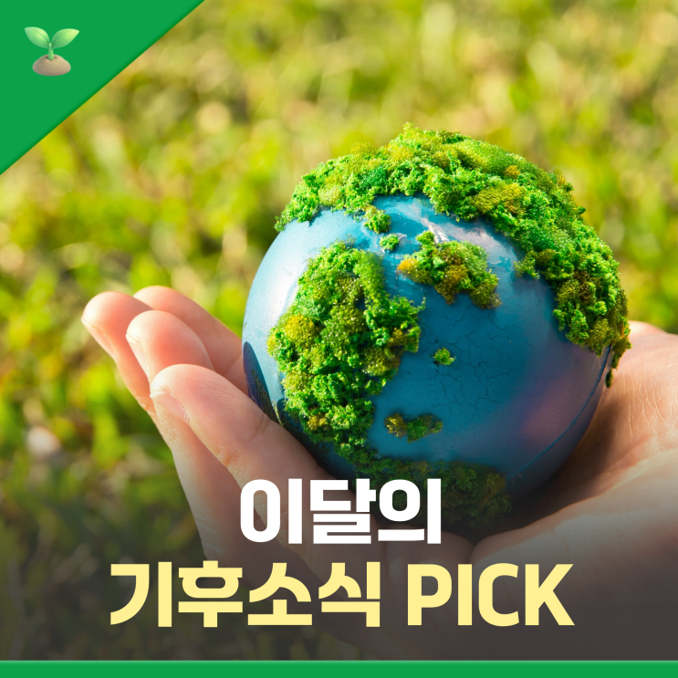 기후소식 PICK!] #유럽폭염 #오메가열돔 #CBAM #<b>폭염중대경보</b>