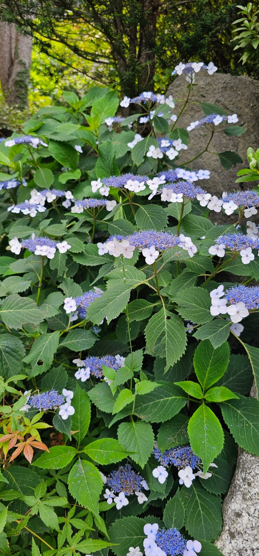절골 사진 3