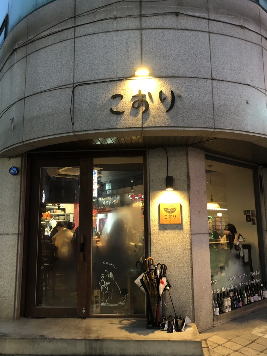 코오리 사진 2