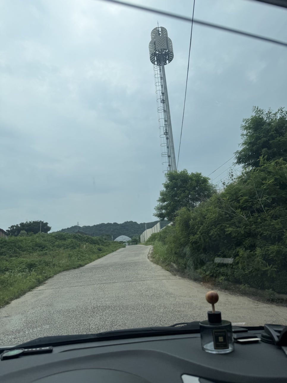 테디스로드 사진 1
