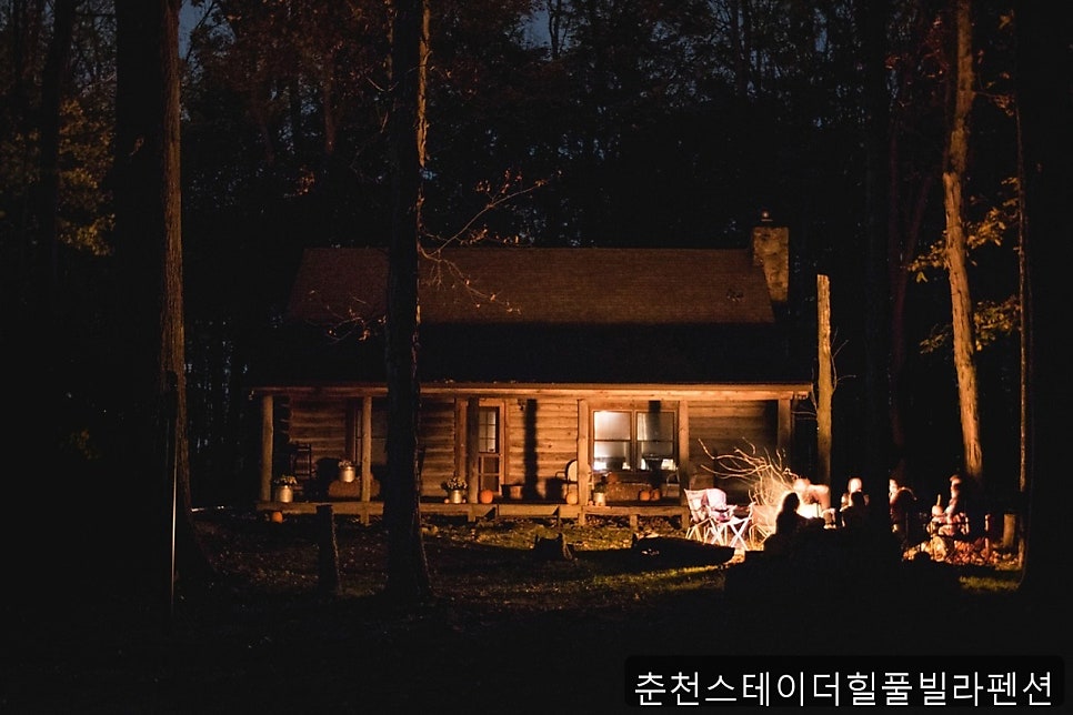 나무들의수다 사진 2
