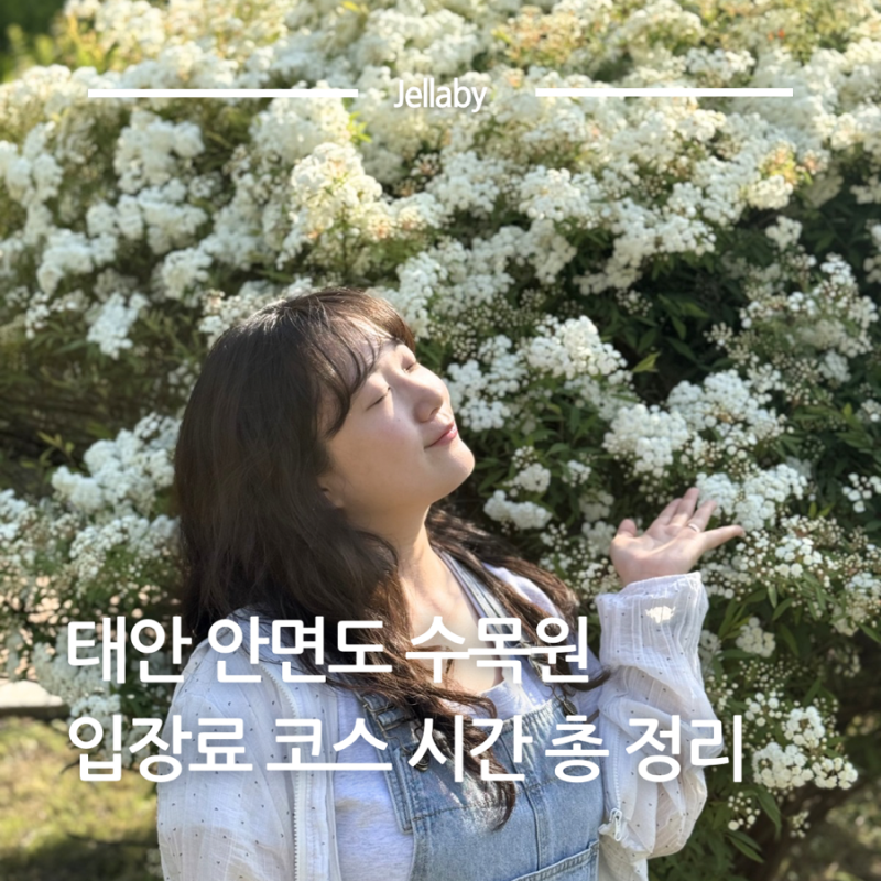 태안반도 가볼만한곳 태안 수목원 입장료 주차 운영 시간 총정리