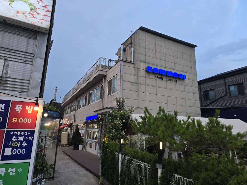 봄마지 사진 1