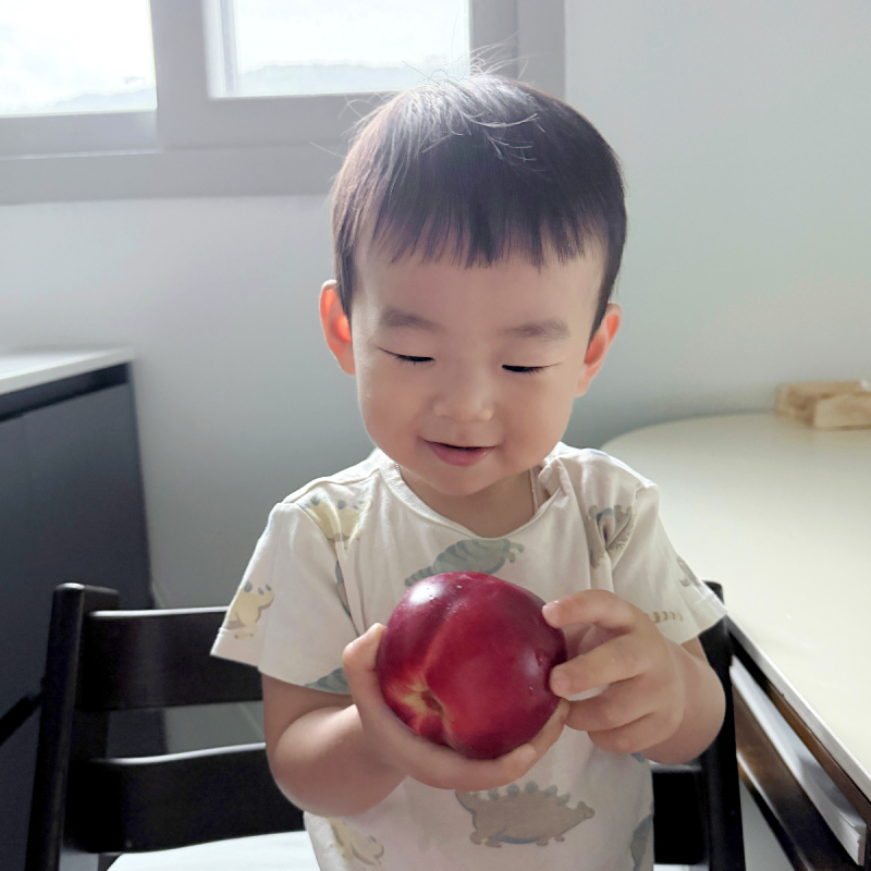 신비복숭아 제철 기간, 후숙부터 보관법까지 맛있게 먹는 방법 (feat. 다원이네 과일농장)