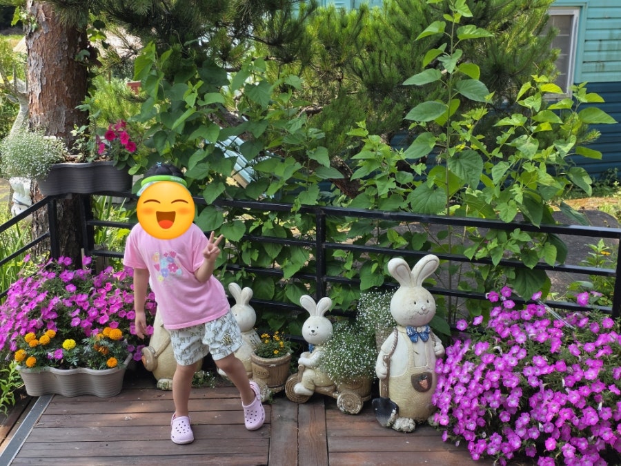베이커리카페리코 사진 4