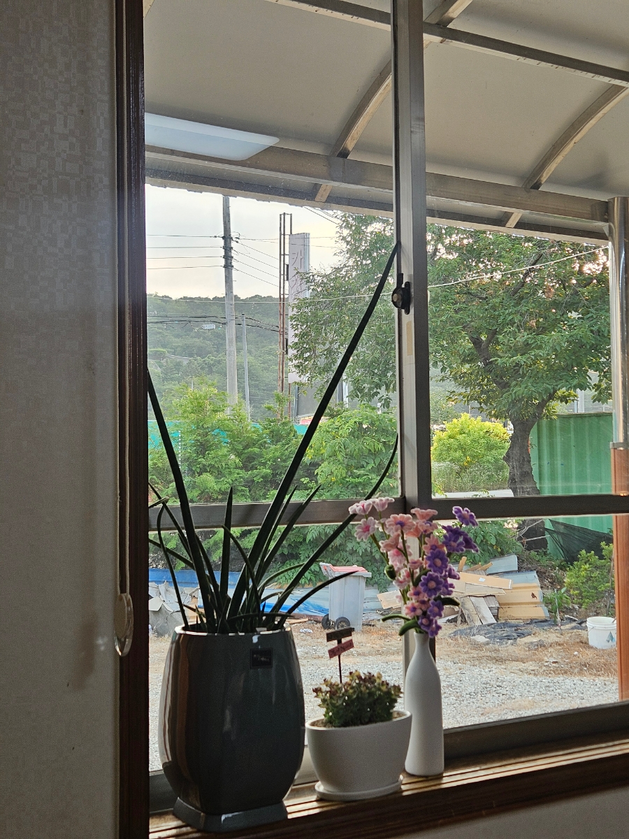 원앙로닭볶음탕 사진 2