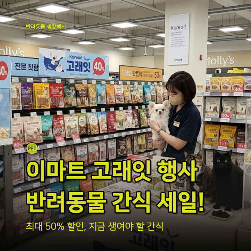 이마트 몰리스 고래잇 세일 총정리! 강아지·고양이 간식 최대 50% 할인, 놓치면 아쉬운 추천 ....