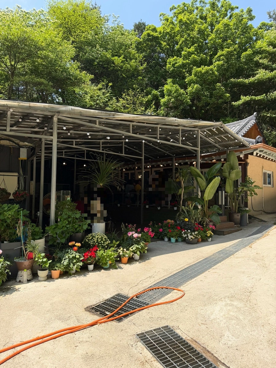 봉산메밀막국수 사진 1