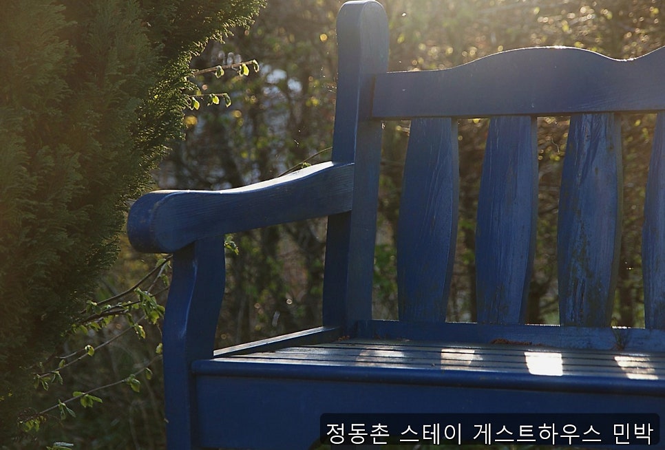 정동촌스테이게스트하우스 사진 2