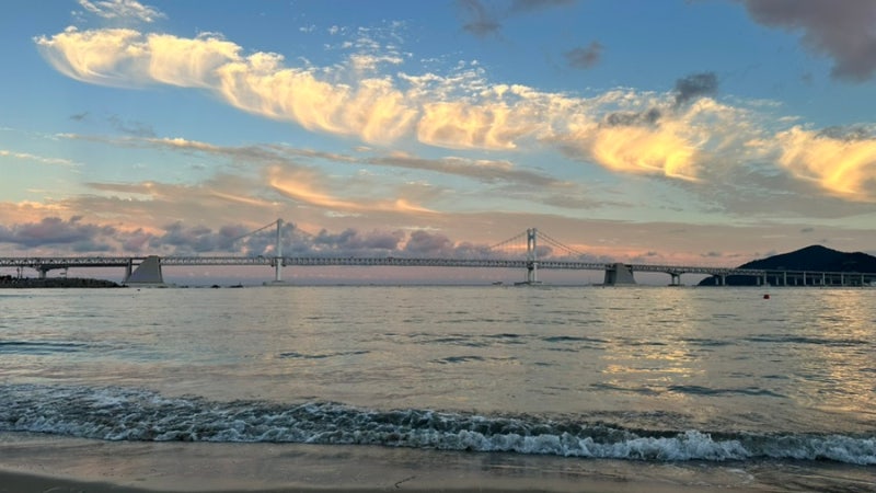 부산 광안리 해수욕장 개장기간·시간, 구명조끼·탈의실 이용요금 정리(+해바라기 정원 후기....