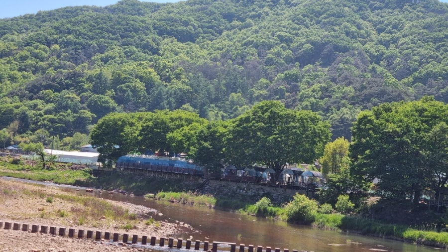 지량솥뚜껑메기매운탕 사진 3