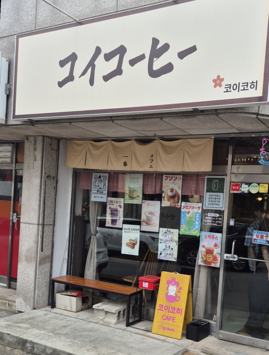 코이코히 사진 1