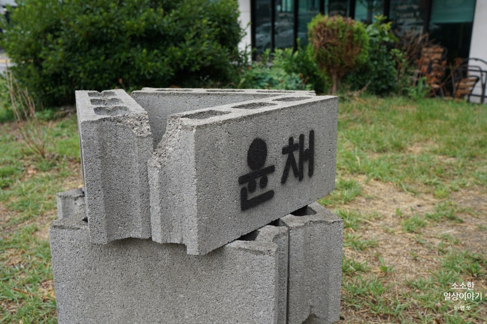 윤채 사진 1