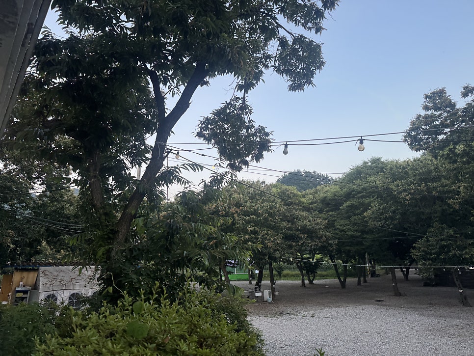 제령포레스트펜션&캠핑장 사진 6