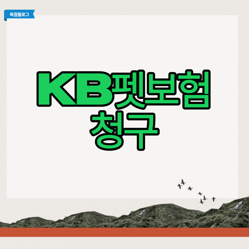 B펫보험 청구할 때 이거 모르면 무조건 손해봅니다