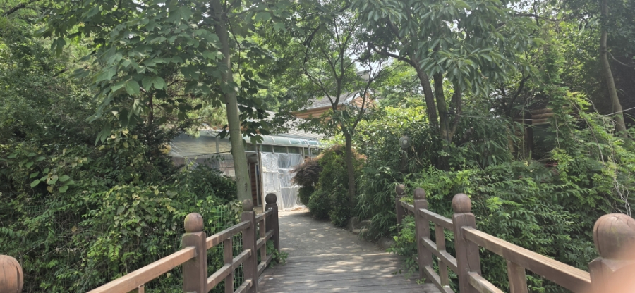 물머리집 사진 3