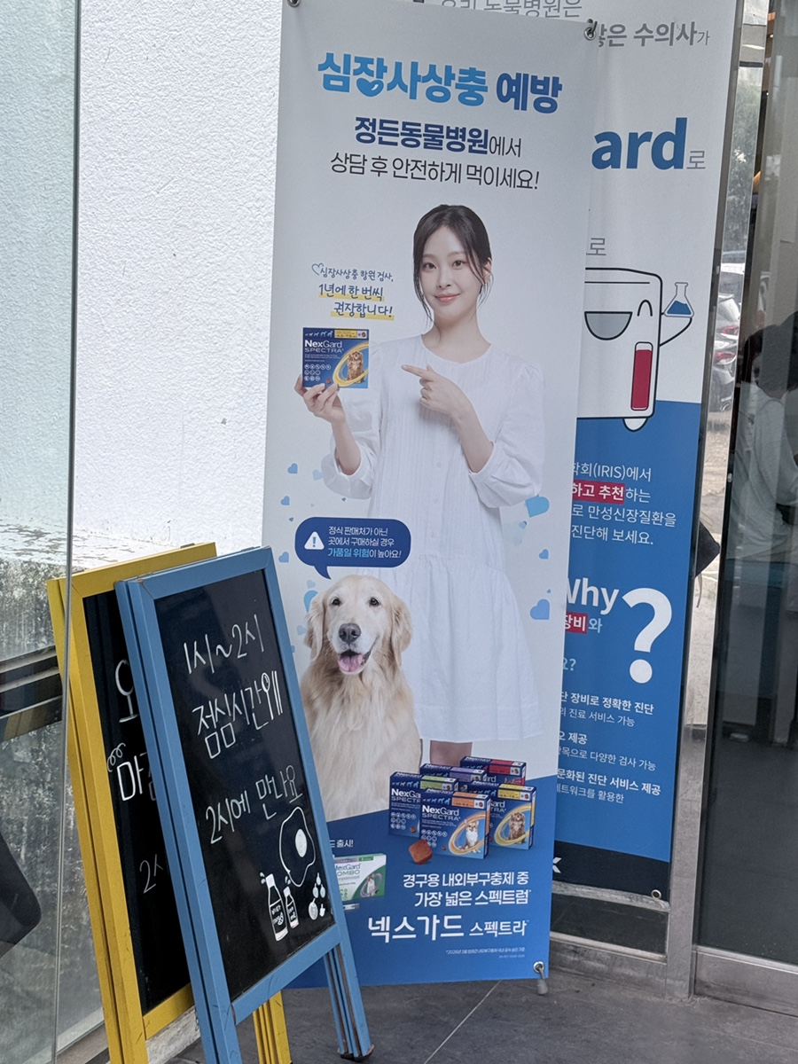 정든동물병원 사진 5