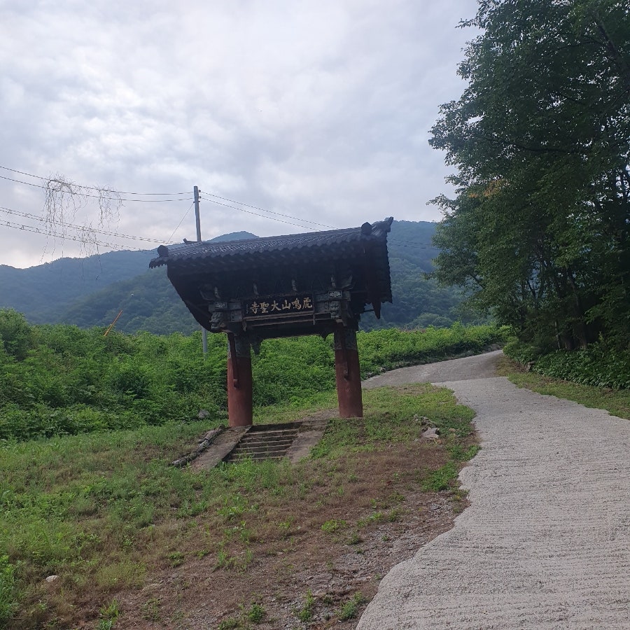 운악산칼국수 사진 2