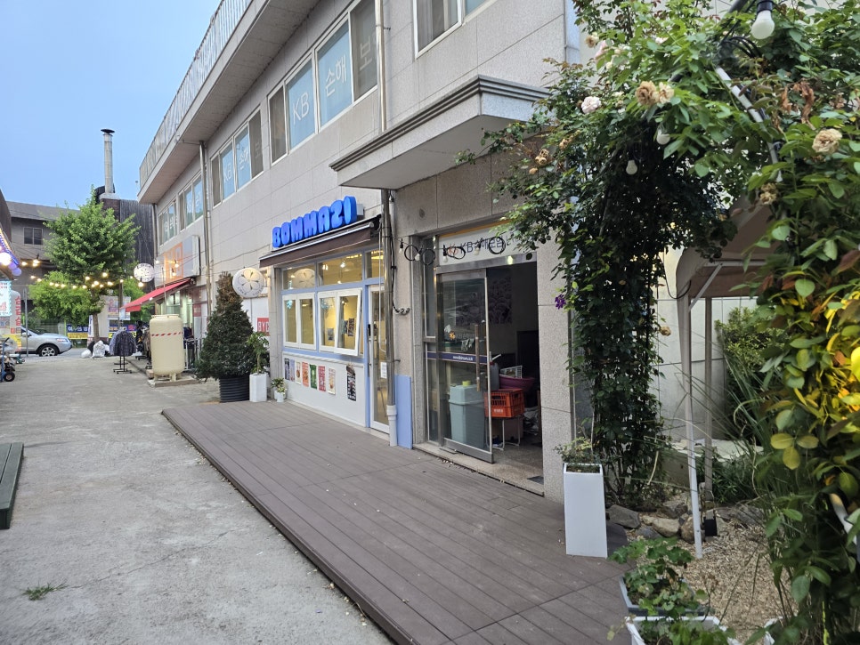 봄마지 사진 2