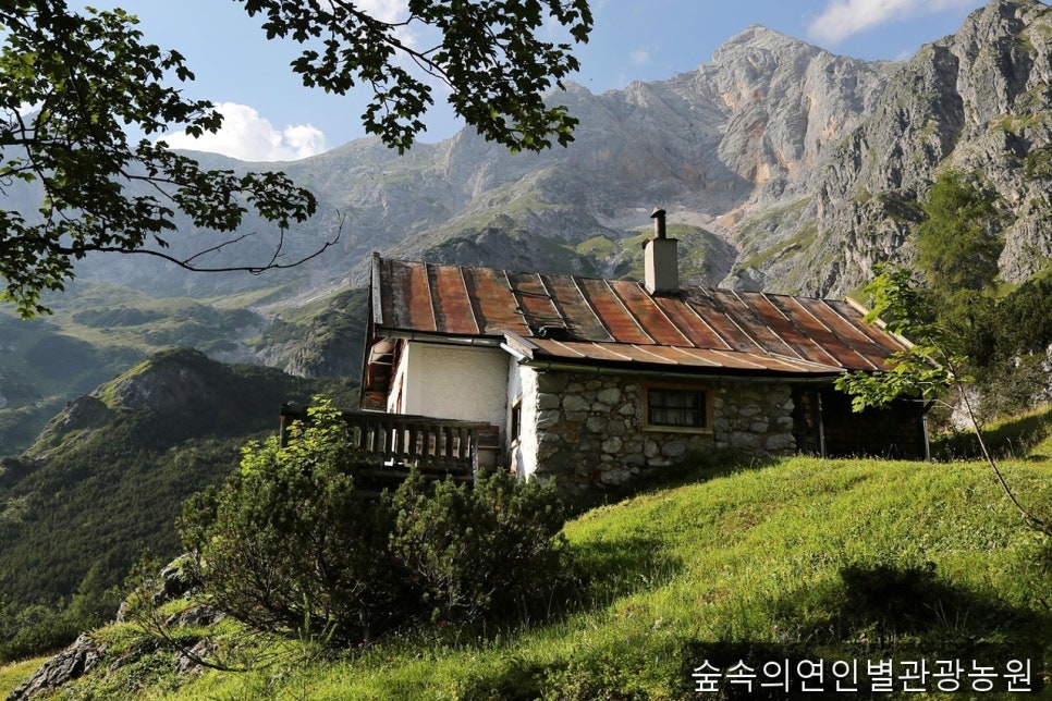 숲속의연인별 사진 3