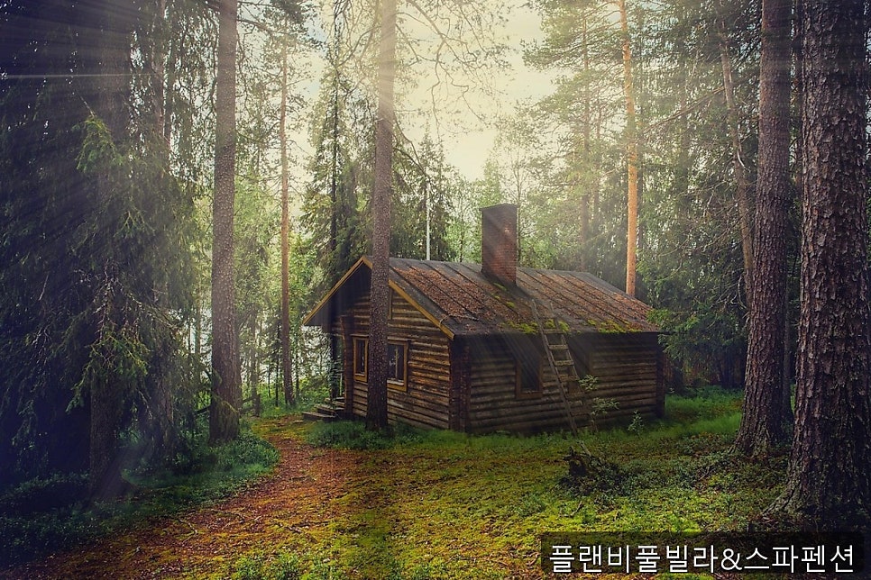 작은숲 사진 1