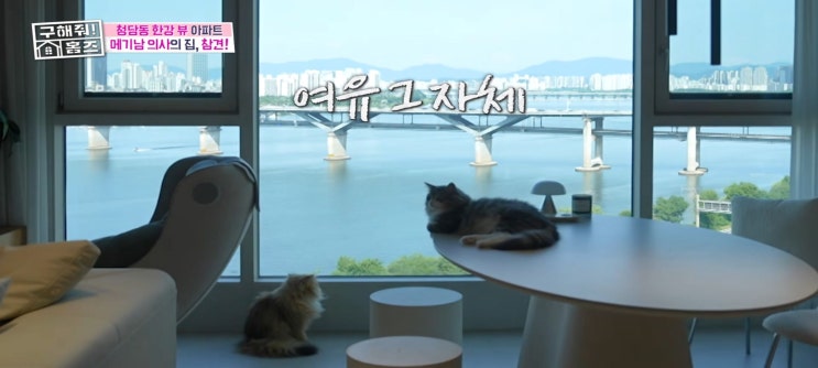 <b>구해줘홈즈</b> 한해 김지유집 임장 관악산뷰옥탑방 청담동한강뷰아파....