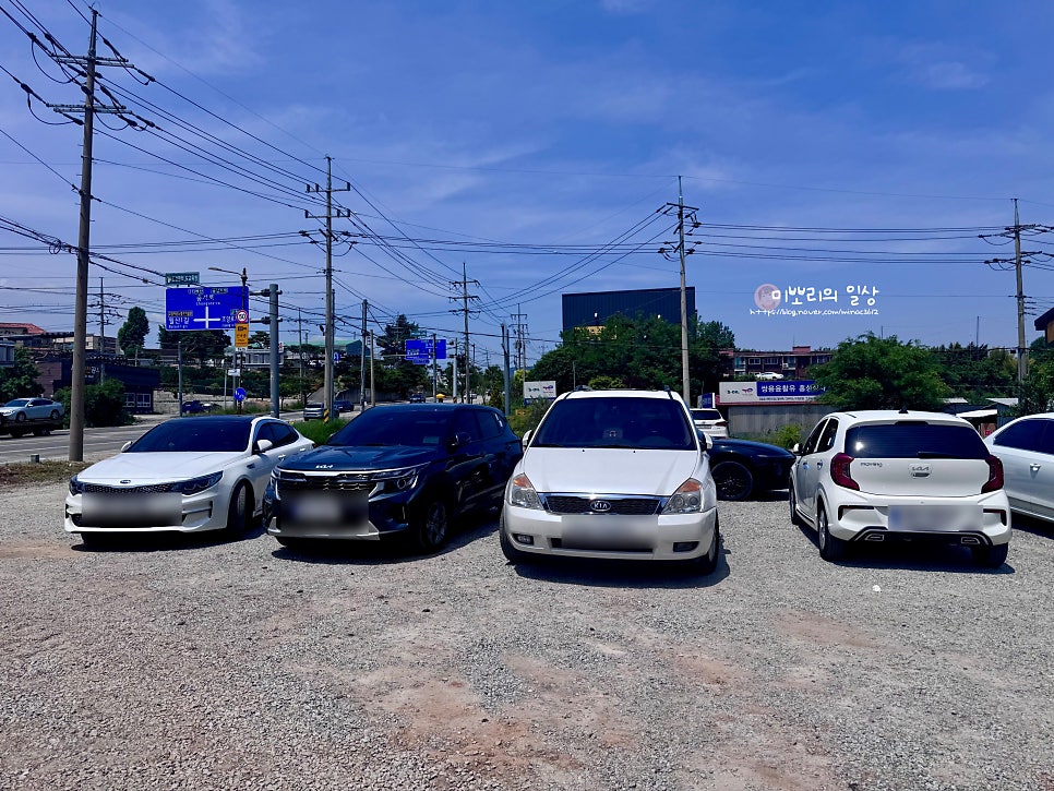 월산콩국수 사진 2