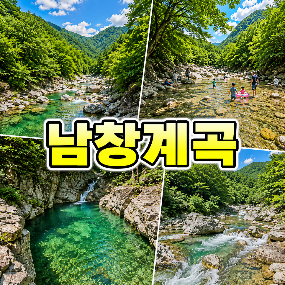 미가 사진 3