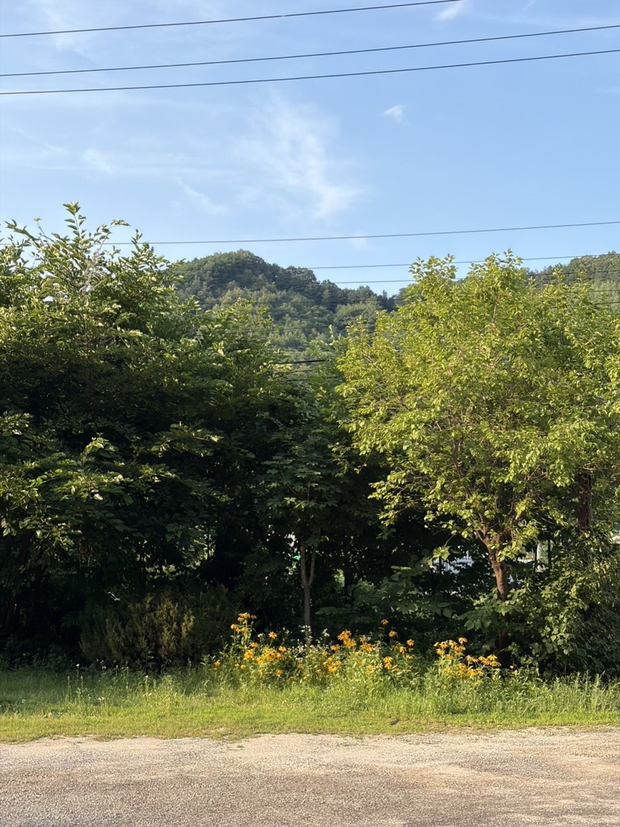 파인휴펜션 사진 3