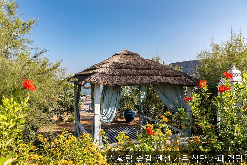 성황림숲길 식당 사진 3