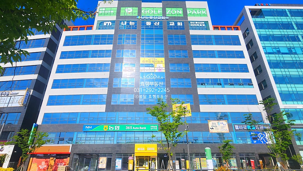 더드림 사진 3