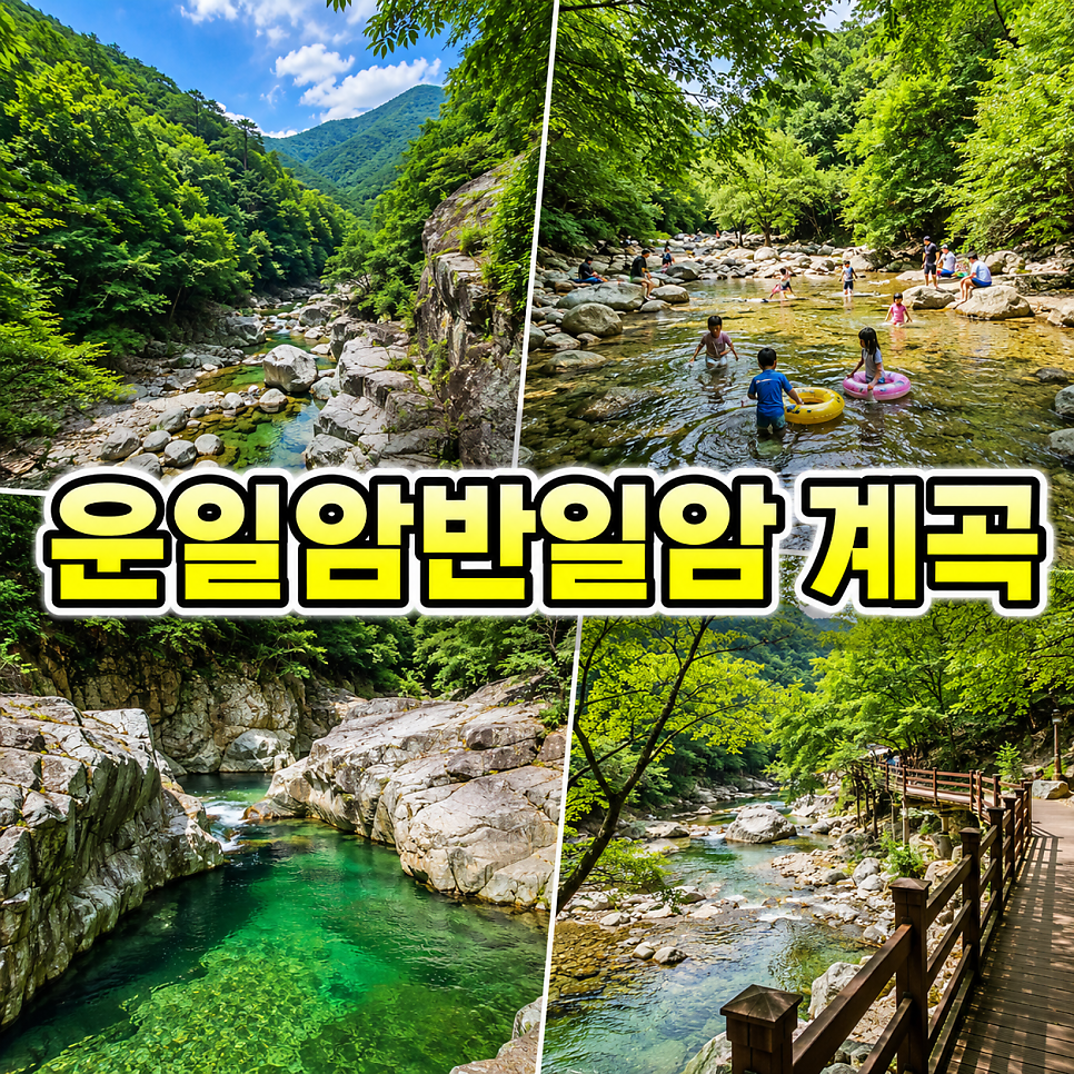 미가 사진 2