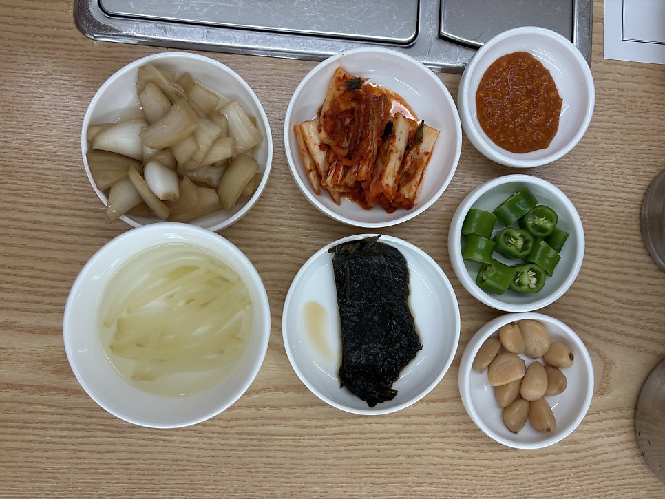 해조톳오리 사진 5