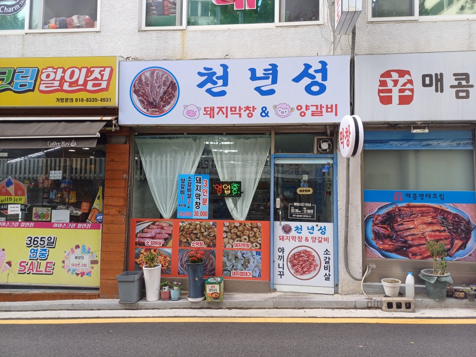 손수만두 사진 1