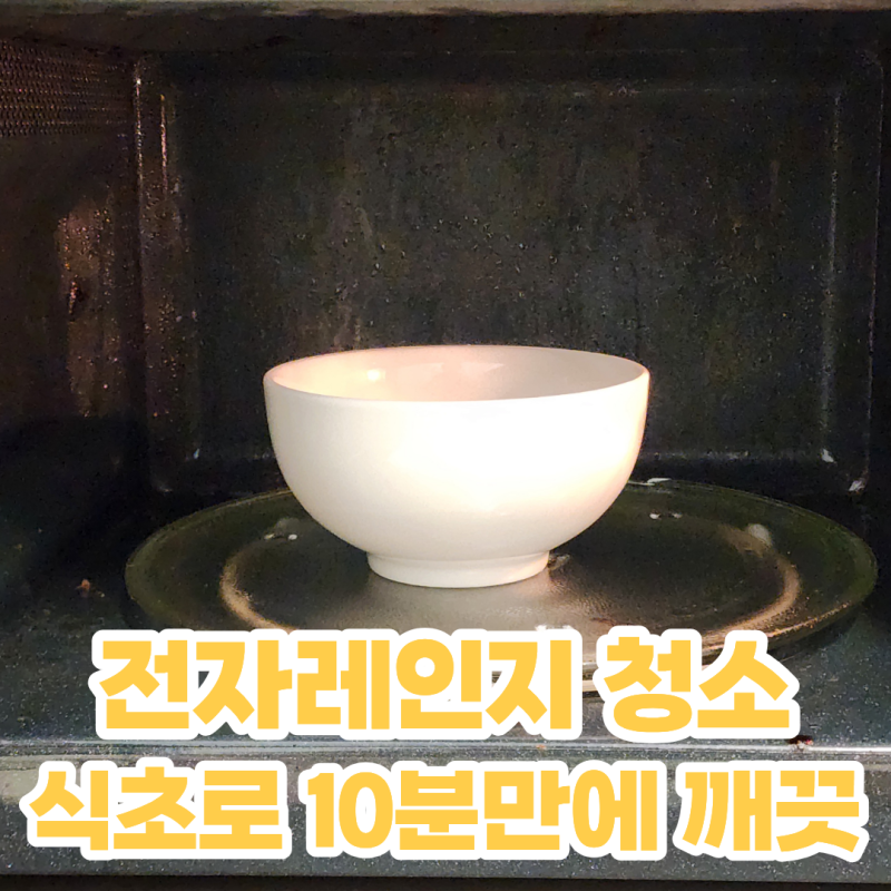 전자레인지 청소 하는법 식초 10분만에 전자렌지 깨끗하게 청소하기