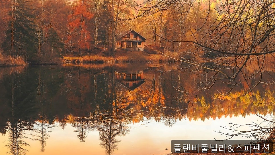 작은숲 사진 2