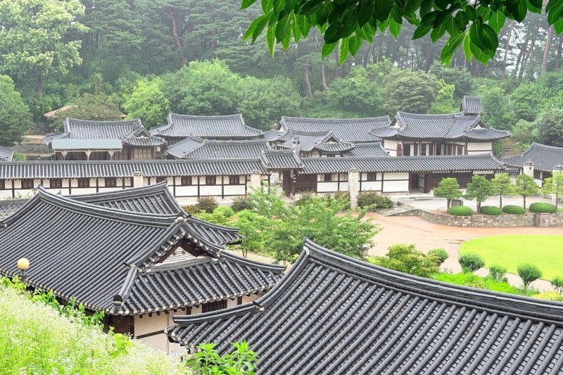 1박2일 강원도 여행 국가유산 방문자여권 스탬프 투어 코스 강릉 선교장 오죽헌 스탬프 위치